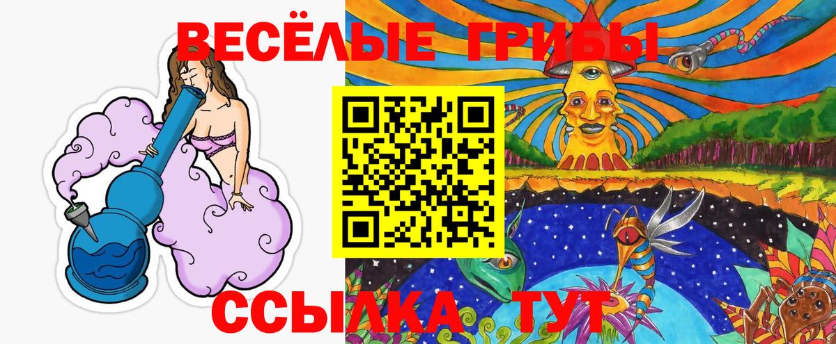Галлюциногенные грибы Cubensis  Вход с VPN  Галлюциногенные грибы GOLDEN TEACHER  Сланцы 